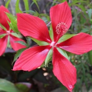 Meet your Posher, Kat